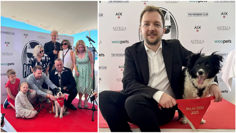 Cannes 2025: Un ciobănesc islandez a primit trofeul Palme Dog pentru cea mai bună „interpretare” canină
