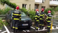 copac cazut peste o masina