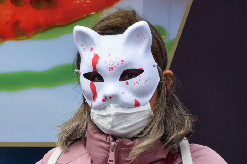 Protest Against Cat Torture In China