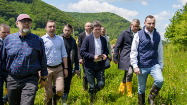 nicușor covasna
