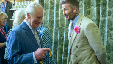 RHS Chelsea Flower Show Press Day, London, UK - 19 May 2025