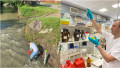 photo-collage.png - 2025-06-06T161422.926