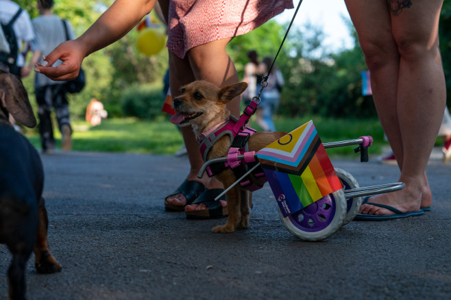 BUCURESTI - PARADA PRIDE 2025 - 7 IUN 2025