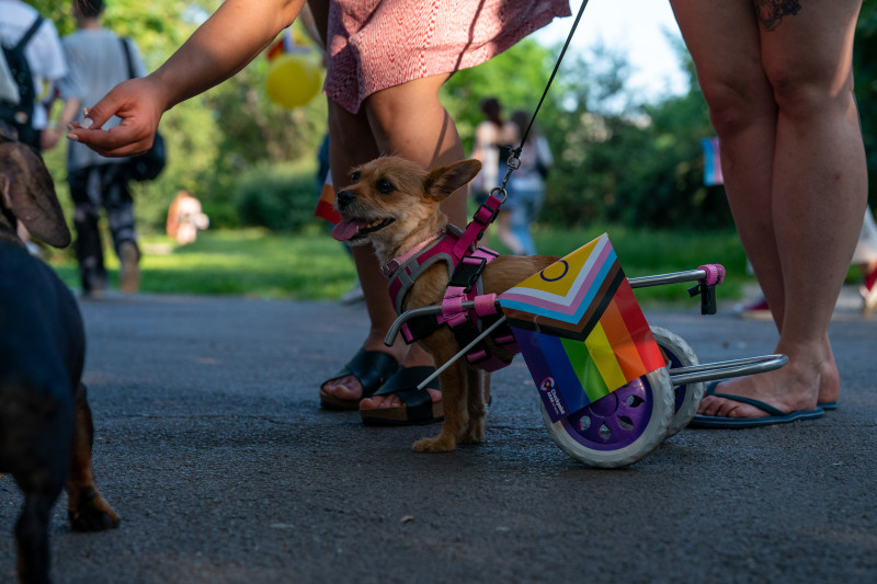 BUCURESTI - PARADA PRIDE 2025 - 7 IUN 2025