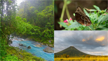 imagini din pădurile din Guanacaste, Costa Rica / un fluture în pădure