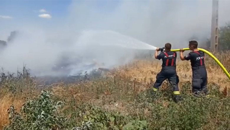 VIDEO  Care sunt cele mai expuse județe la incendiile de vegetație și cum vor fi monitorizate de autorități