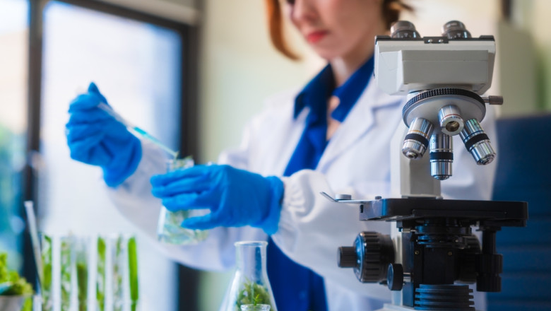 cercetare laborator microscop