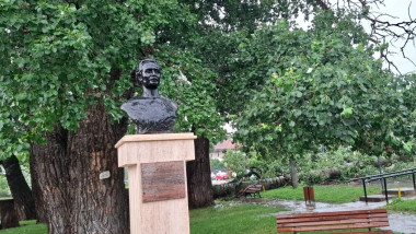 Copac Eminescu ISU Iasi