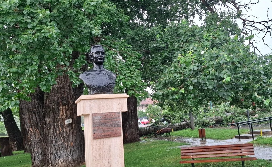Unul dintre copacii care l-au inspirat pe Mihai Eminescu a căzut în Iași. Intervenție de urgență a ISU