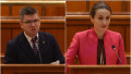 neamtu toiu