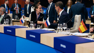 oana toiu nato haga