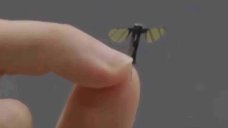 Țânțarul spion al chinezilor. Drona minusculă creată de un laborator de robotică militară