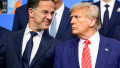 trump rutte