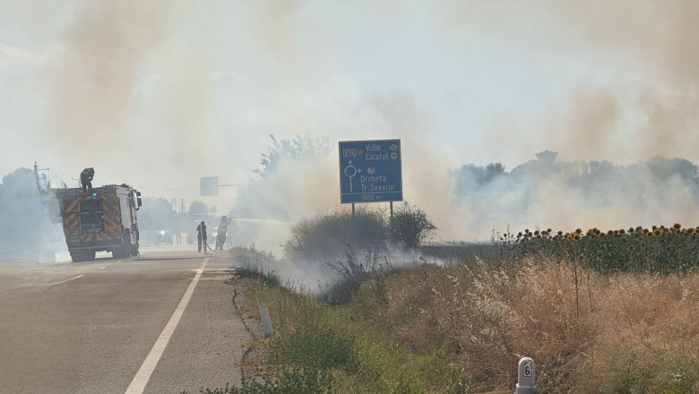 VIDEO  Incendiu puternic de vegetaţie la Maglavit, în Dolj, pe o suprafață de 70 – 80 hectare. Traficul rutier a fost deviat