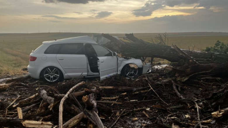 FOTO. Un copac doborât de vânt a căzut peste o maşină în care se aflau două femei şi doi copii, în Teleorman