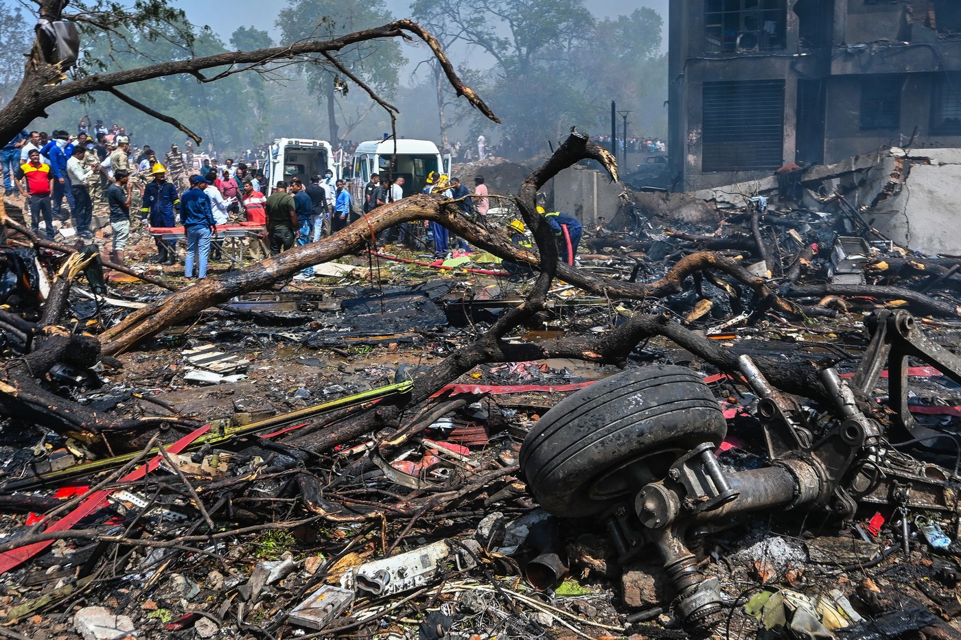 Familii ale unor victime ale accidentului Air India dau în judecată firmele Boeing și Honeywell