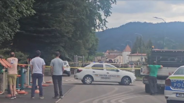 copac cazut brasov
