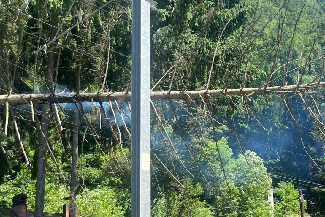 Circulația trenurilor între Sinaia-Bușteni, reluată după ce un copac a căzut pe linia de contact. 2.106 minute de întârziere cumulate