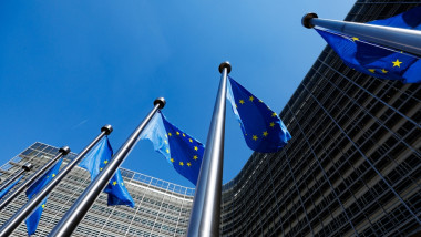 Comisia Europeana steaguri