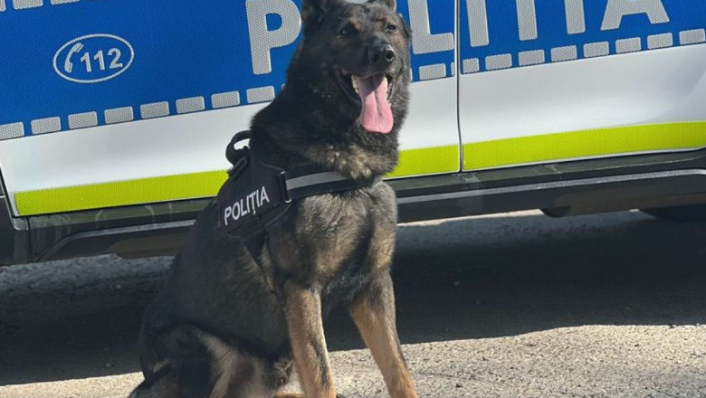 Jaf cu cagule la Neamț, dejucat de un câine de urmă. Hoții au fost prinși când își ardeau hainele