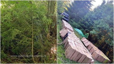 photo-collage.png - 2025-06-23T162548.150