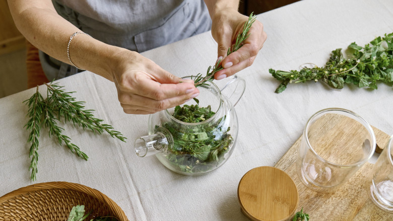 Planta aromatică medicinală care sprijină și îmbunătățește memoria. Medicii afirmă: „Poate susține funcțiile cognitive”