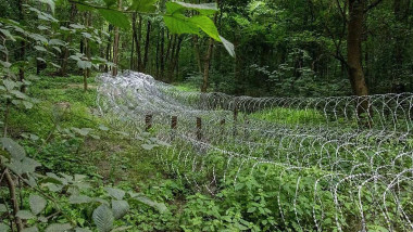 Sârmă ghimpată pe linia frontului în regiunea Sumî. Foto: Profimedia