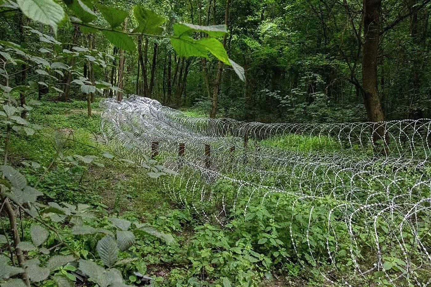 Rusia a concentrat 50.000 de militari în jurul Sumî, punând Ucraina în dificultate (Wall Street Journal)