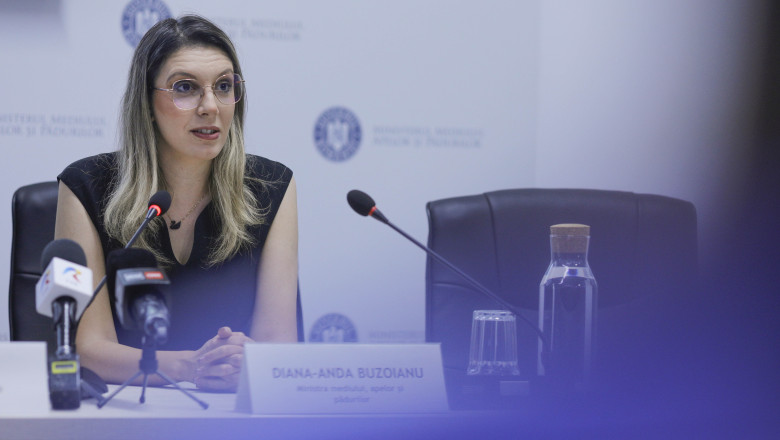 Diana Buzoianu: La Apele Române, investițiile la baraje și diguri „nu sunt avansate aproape cu nimic”