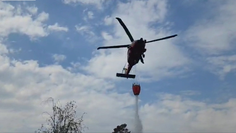 VIDEO  Incendii de vegetație în mai multe județe: 700 de hectare afectate doar în Tulcea. Intervin elicoptere Black Hawk