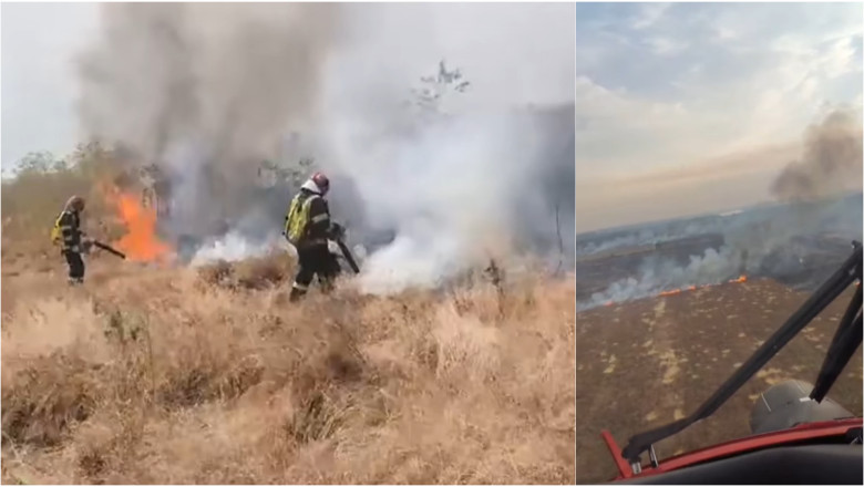 photo-collage.png - 2025-07-05T213734.082