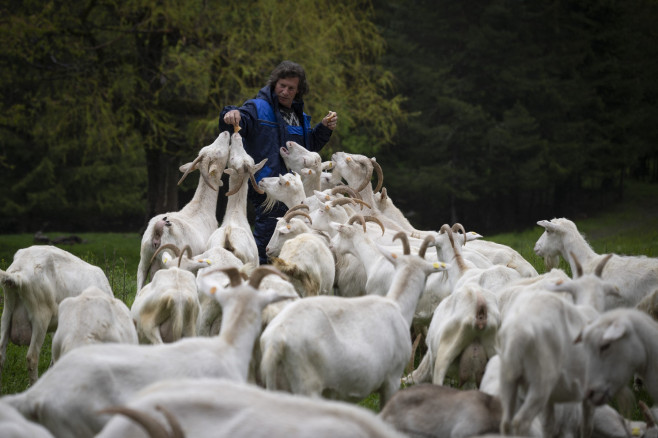 profimedia-1019051183