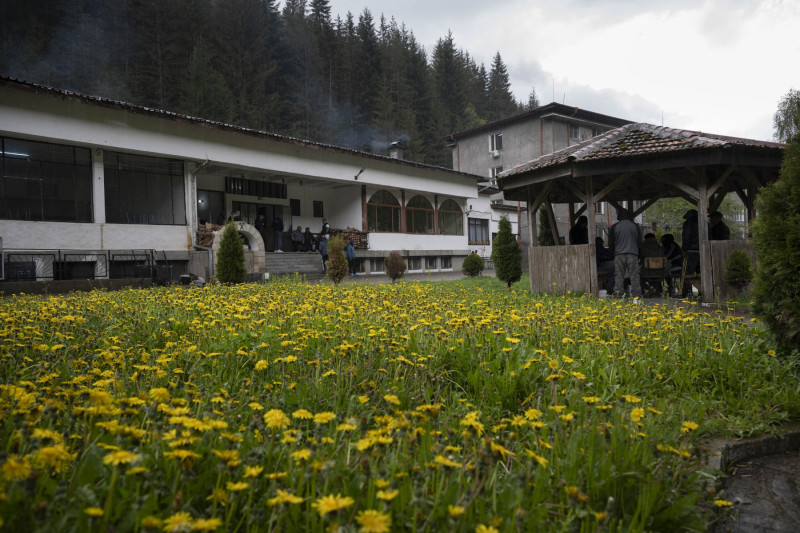 profimedia-1019051185