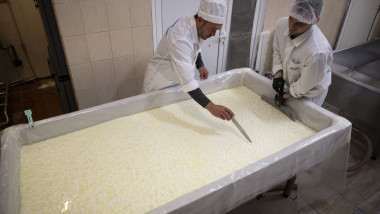 profimedia-1019051192