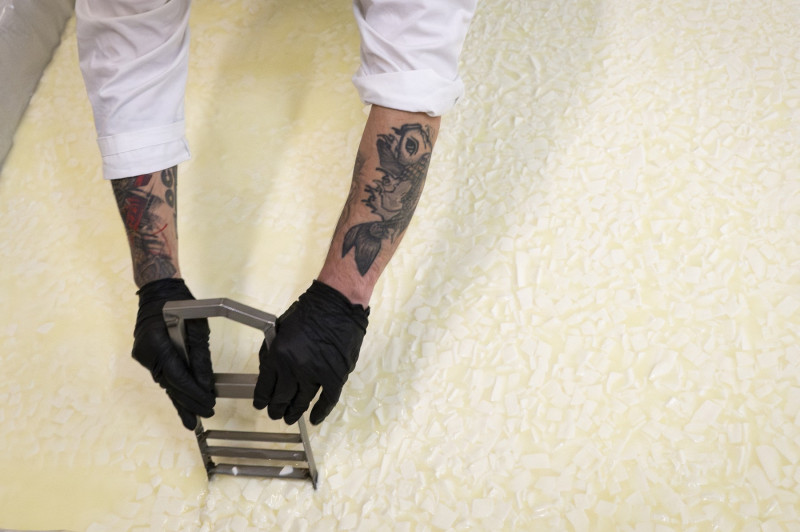 profimedia-1019051178