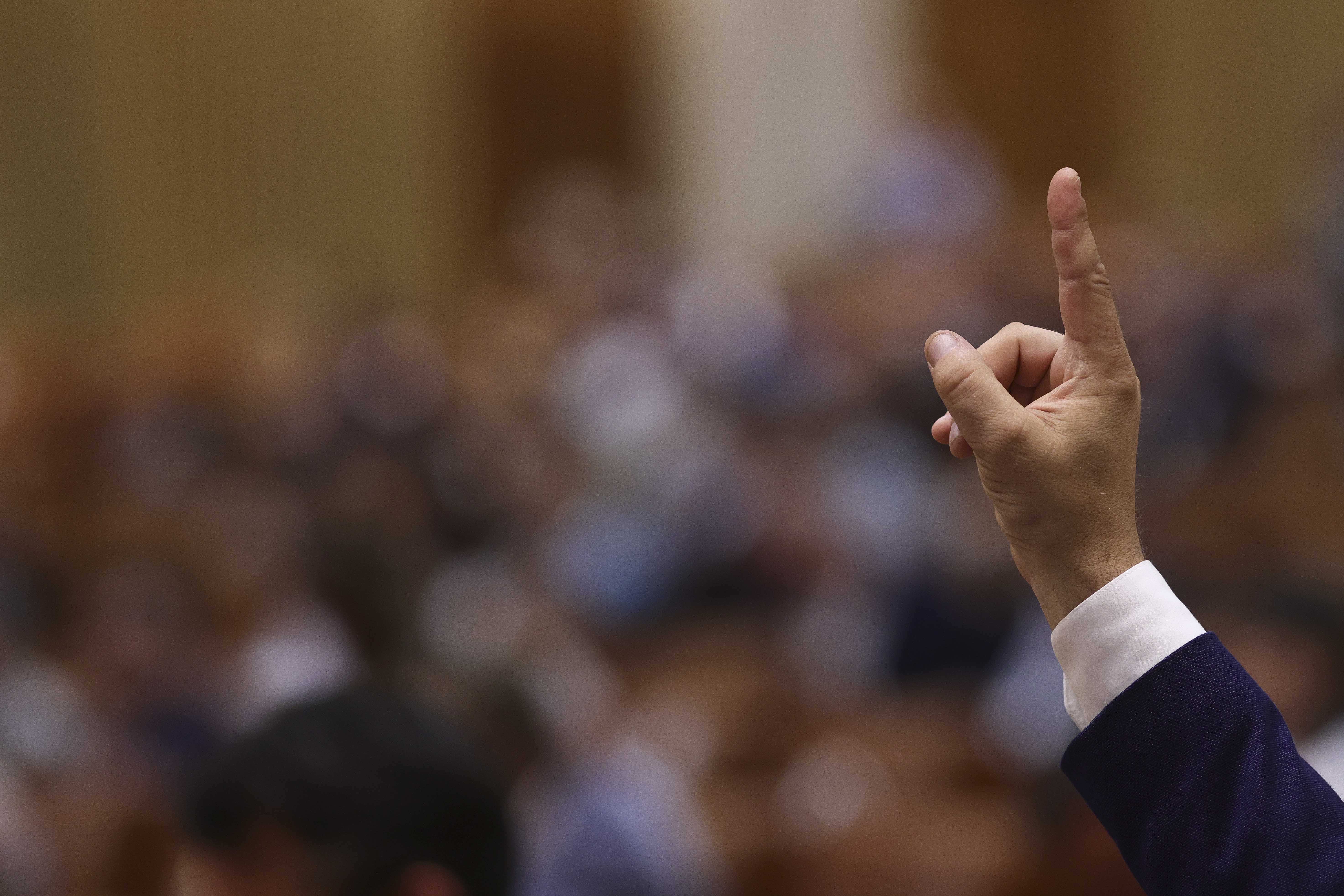 Parlamentul se reunește în plen pentru alegerea noului Avocat al Poporului. Ce dată a fost aleasă pentru vot