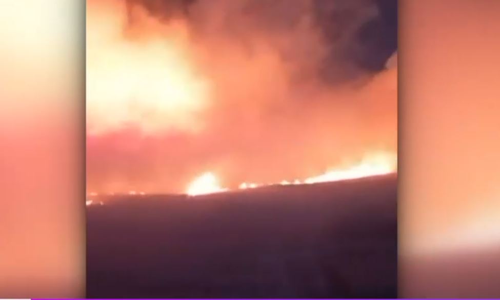 VIDEO „Perete” de foc pe DN 56, la Maglavit. Traficul în zonă a fost oprit din cauza incendiului uriaș de vegetație
