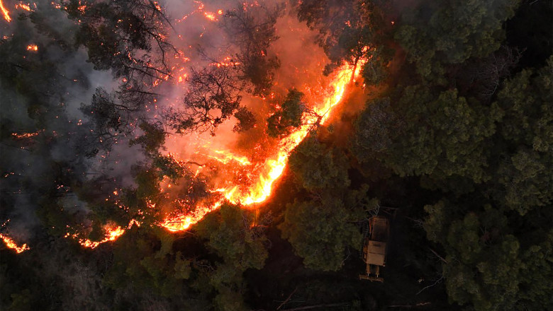 VIDEO  Incendiile devastatoare au distrus 3% din pădurile Siriei. Damascul a cerut ajutorul UE pentru a opri focarele