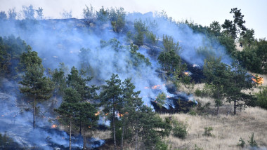 Wildfire near North Macedonia-Kosovo border shuts Blace-Elez Han crossing