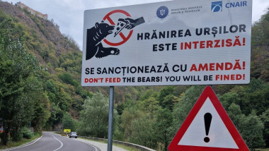hranirea ursilor interzisa amenda drum