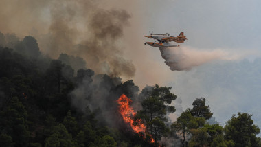 Firefighting efforts continue in 3 districts of Manisa, Turkiye
