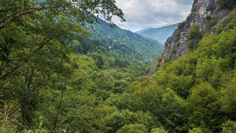 Summer mountain forest view in Debar province, North Macedonia, Europe.
