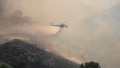 Incendiu în zona Attica. Foto: Profimedia Images