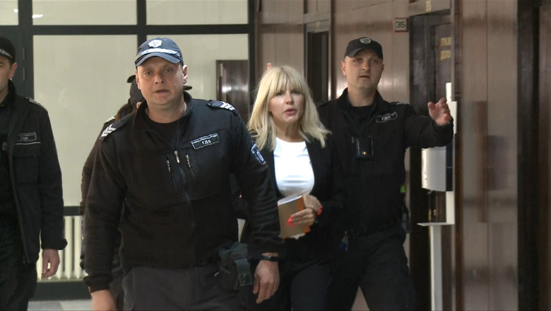 N17 ELENA UDREA IN SALA DE JUDECATA BULGARIA VO 130422 DUBLURA_00306