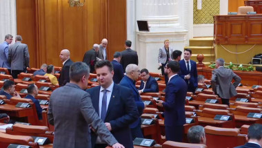 politicieni in camera deputatilor