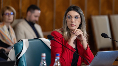 diana buzoianu