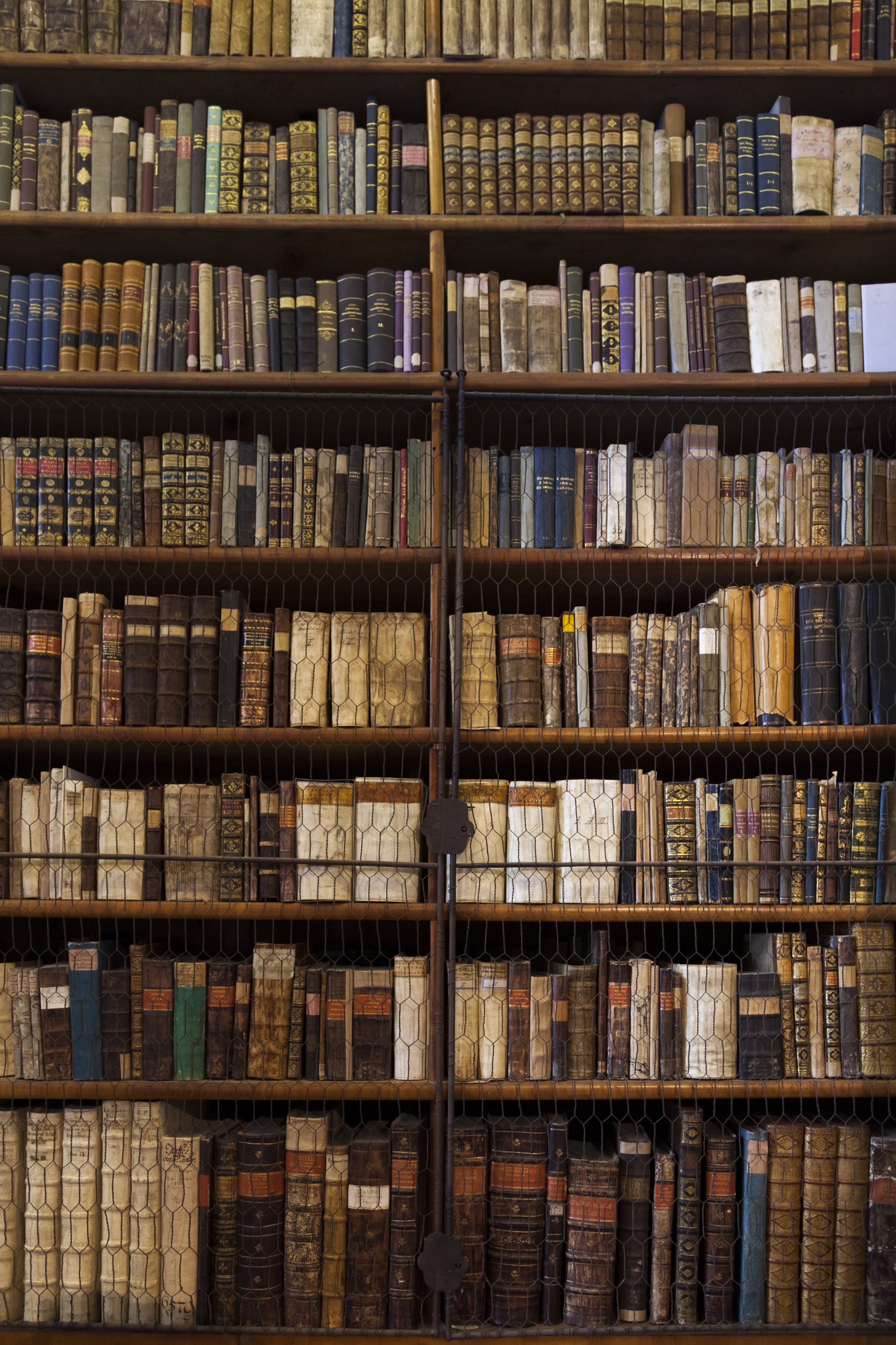 Cea mai veche biblioteca din Ungaria, invadata de gandaci. 100.000 de carti rare ar putea fi distruse. Masuri urgente de dezinsectie