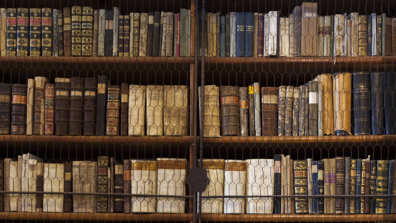 FOTO  Cea mai veche bibliotecă din Ungaria, invadată de gândaci. 100.000 de cărți rare ar putea fi distruse. Măsuri urgente de dezinsecție