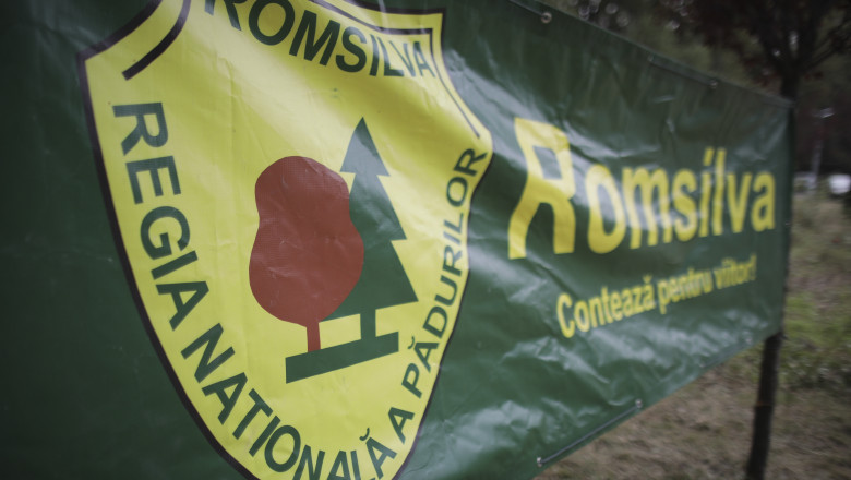 Sindicaliştii din silvicultură: Reorganizarea Romsilva nu se poate realiza unilateral, fără o consultare reală cu actorii implicaţi