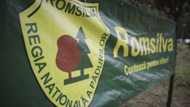 romsilva inquam octav ganea